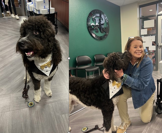 Assistant Principal Jennifer Jones pets Enzo a Goldendoodle therapy dog from Lamar University.    