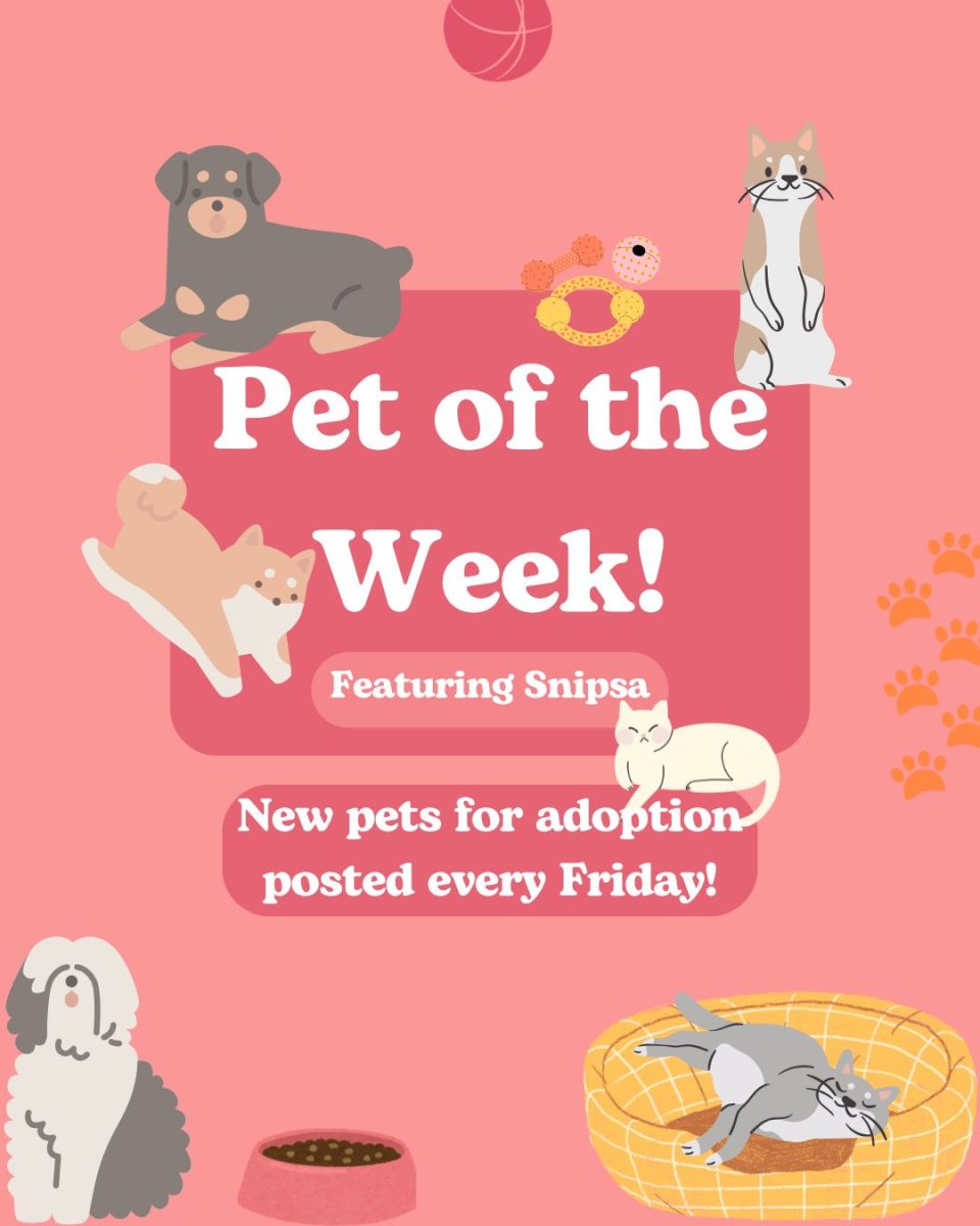 Pet of the Week: Billy The Kid